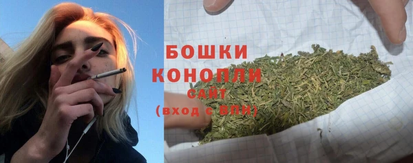 МДПВ Богородицк