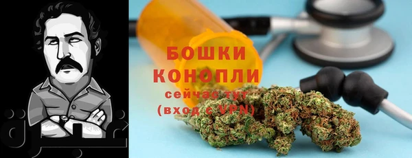 МДПВ Богородицк