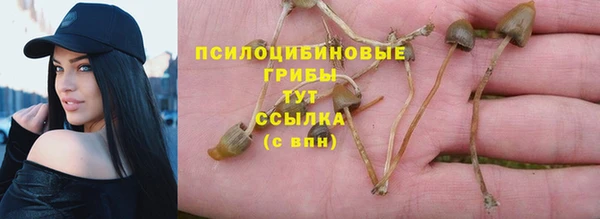 мяу мяу кристалл Богданович