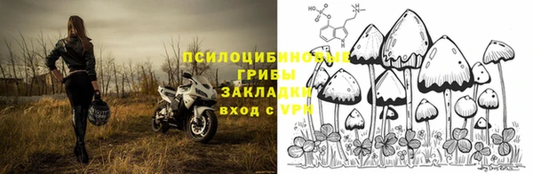 МДПВ Богородицк