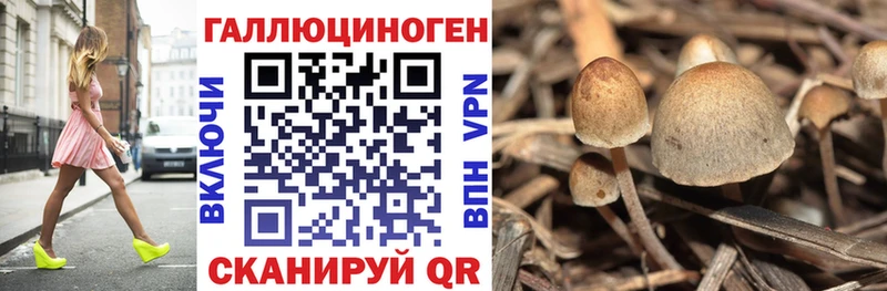 Купить закладки  Пионерский  Галлюциногенные грибы мухоморы 