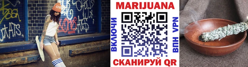 Конопля сатива  Купить где  Пионерский 